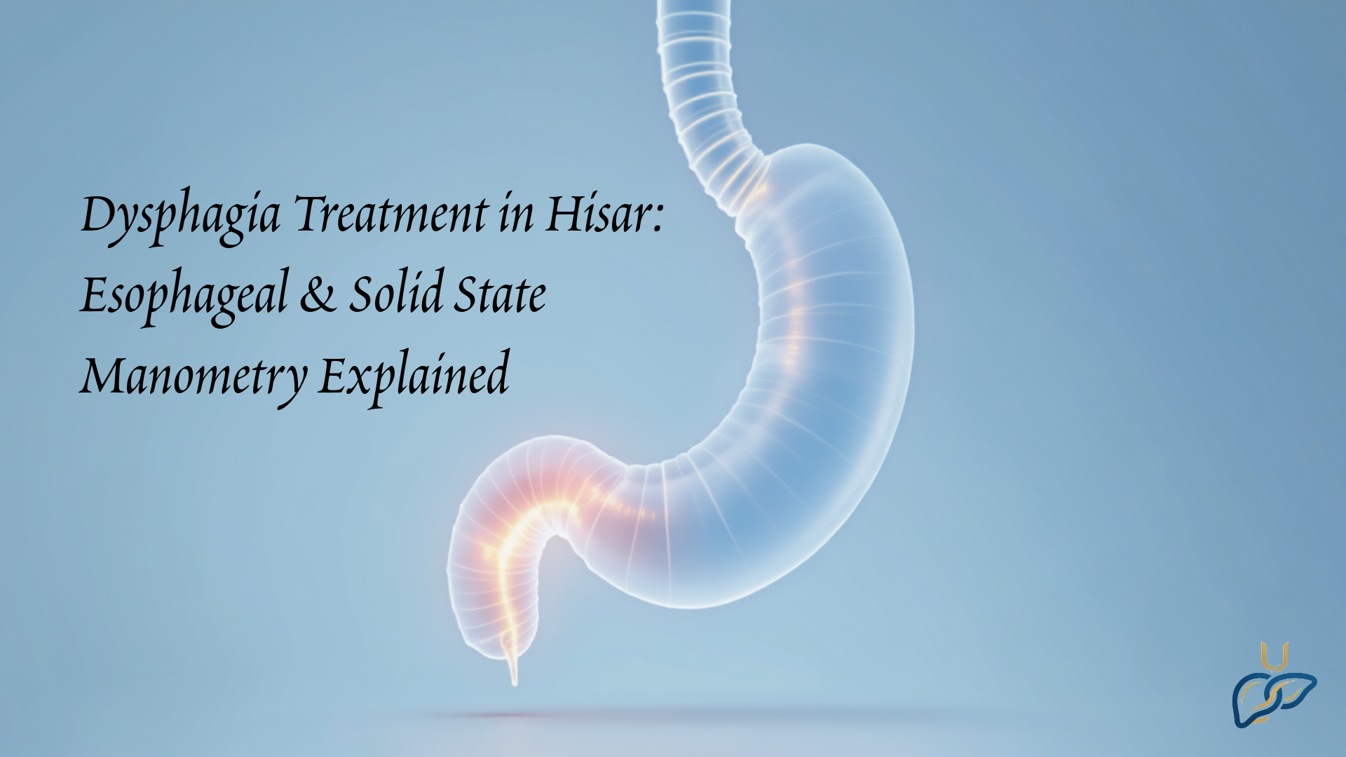 Dysphagia Treatment in Hisar