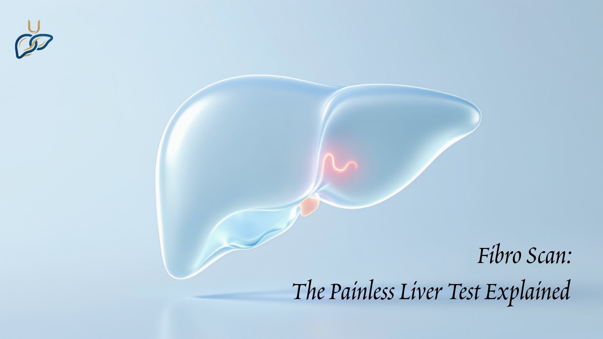Fibro Scan: The Painless Liver Test Explained
